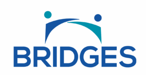 Bridges Resource Hub
